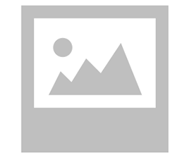 BOUDRO’S TABLESIDE GUACAMOLE